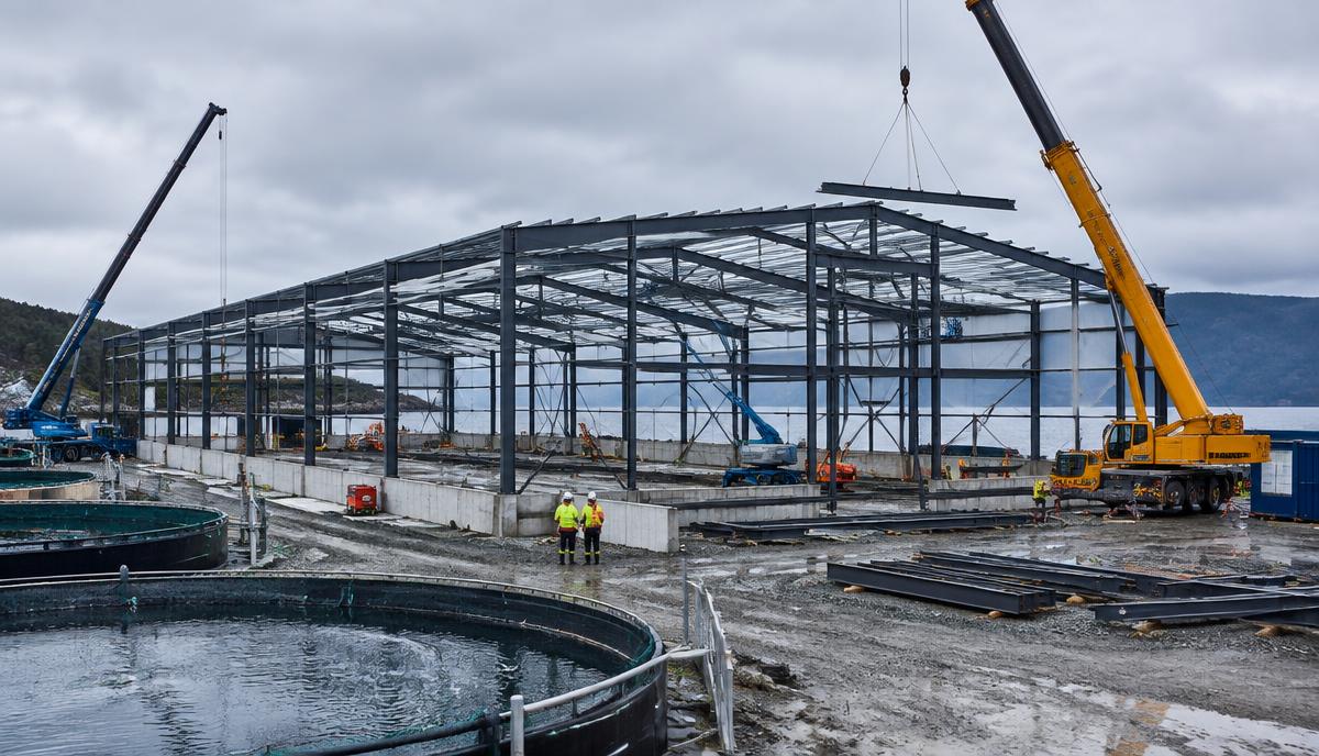 Oppføring av en bygning til et fiskeoppdrettsanlegg