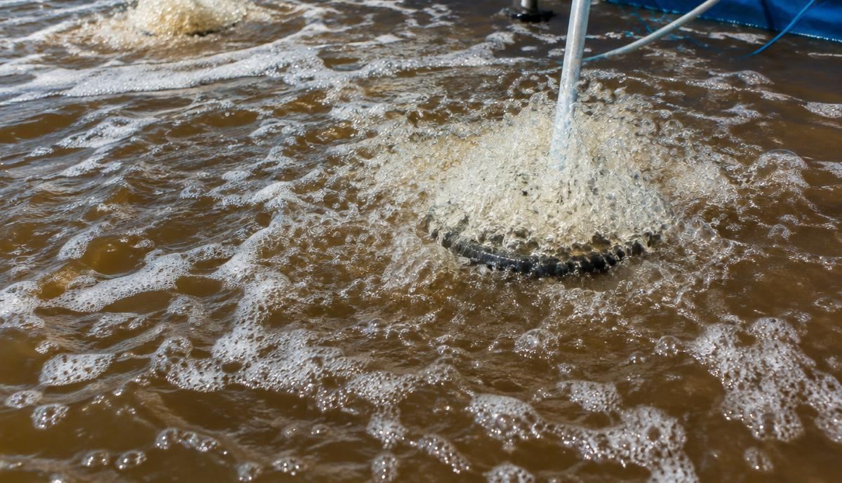Close-up of aeration bubbles in biofloc water