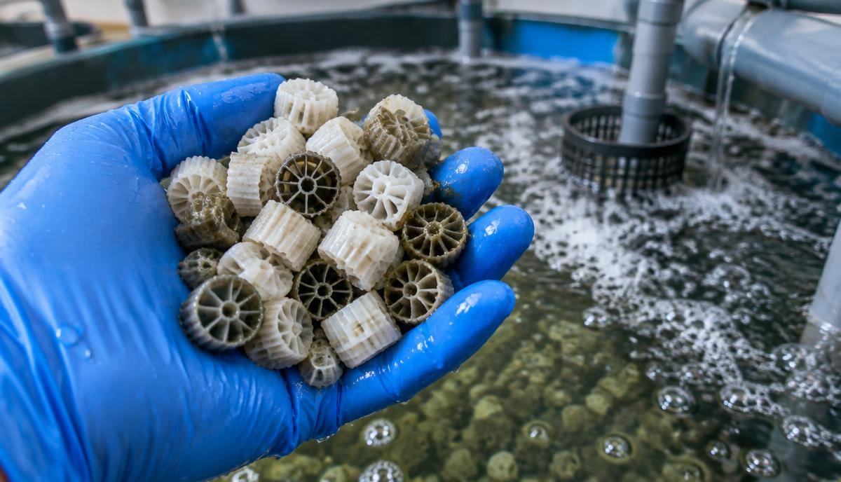 Biofilter media held in a gloved hand over a RAS tank